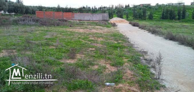 اراضي سكنية ولاية منوبة: 150د/م²