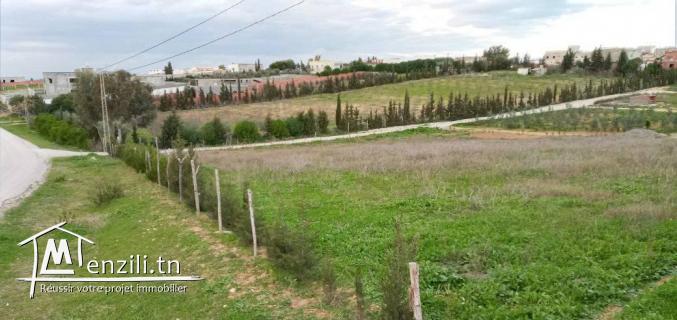 اراضي سكنية ولاية منوبة: 150د/م²