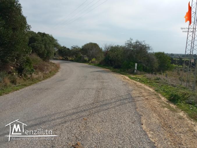 à vendre situés à Tamozrat Kélibia