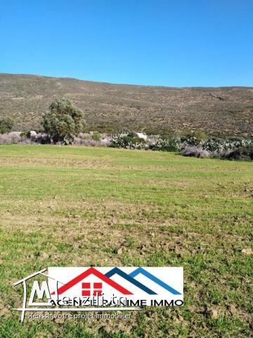 Terrain de 2476m2 a entoure el haouaria 8045