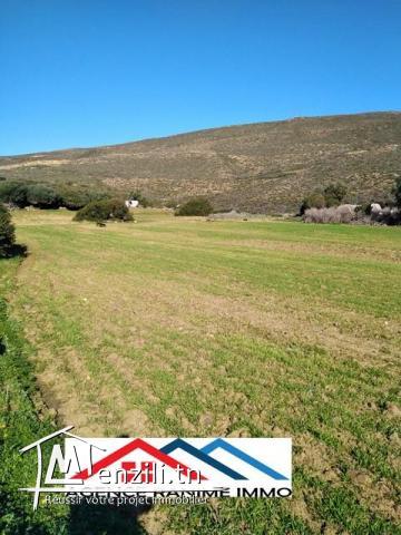 Terrain de 2476m2 a entoure el haouaria 8045
