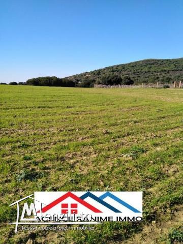 Terrain de 2476m2 a entoure el haouaria 8045