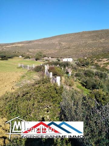 Terrain de 2476m2 a entoure el haouaria 8045