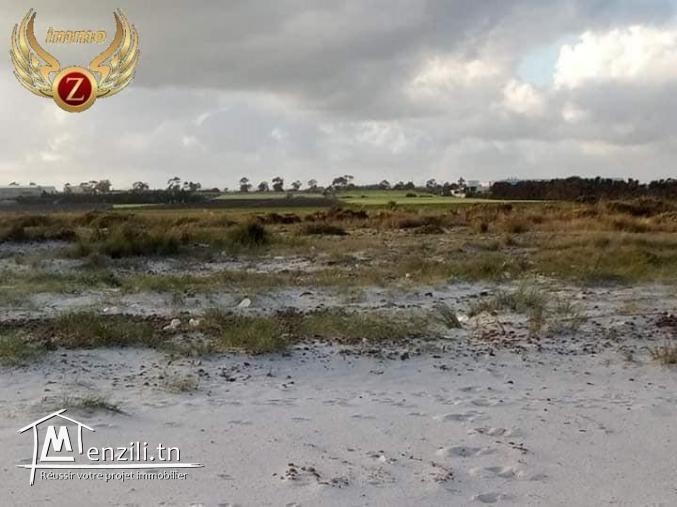 lotissement à kelibia 1er position de la plage