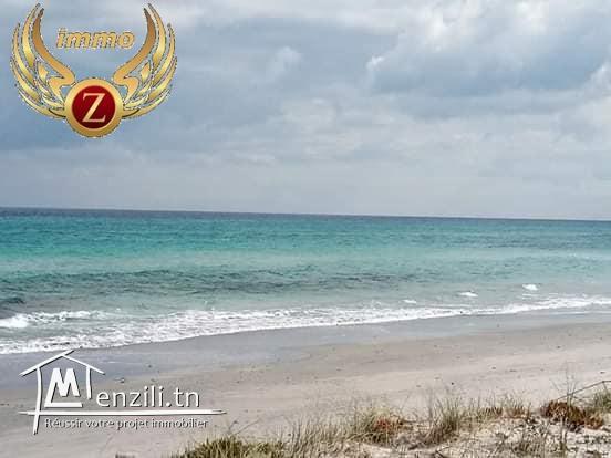 lotissement à kelibia 1er position de la plage