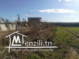 Un Terrain de 1000m² Très Proche de la mer