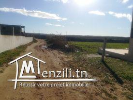 Un Terrain de 1000m² Très Proche de la mer