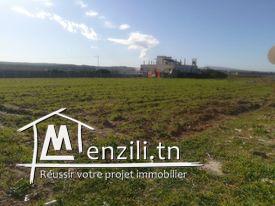 Un Terrain de 1000m² Très Proche de la mer