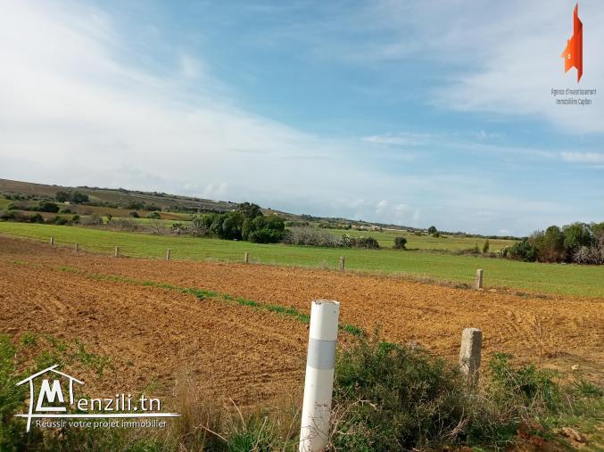 terrain de 2000 m²  à vendre situés à Tamozrat Kélibia