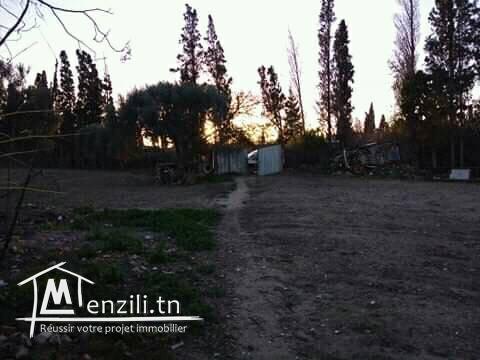 للبيع ارض 3000 م² المكان بو حماد نابل