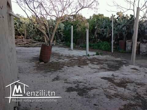 للبيع ارض 3000 م² المكان بو حماد نابل