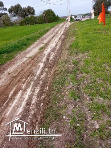 راضي على البحر 