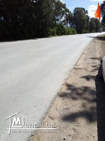 راضي على البحر 