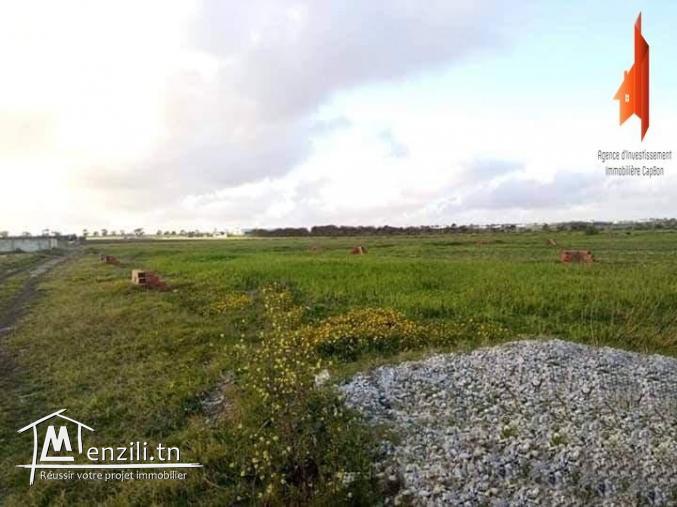 راضي على البحر 