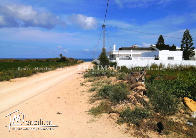 Terrain à DAR ALLOUCHE prix 125 mille dt