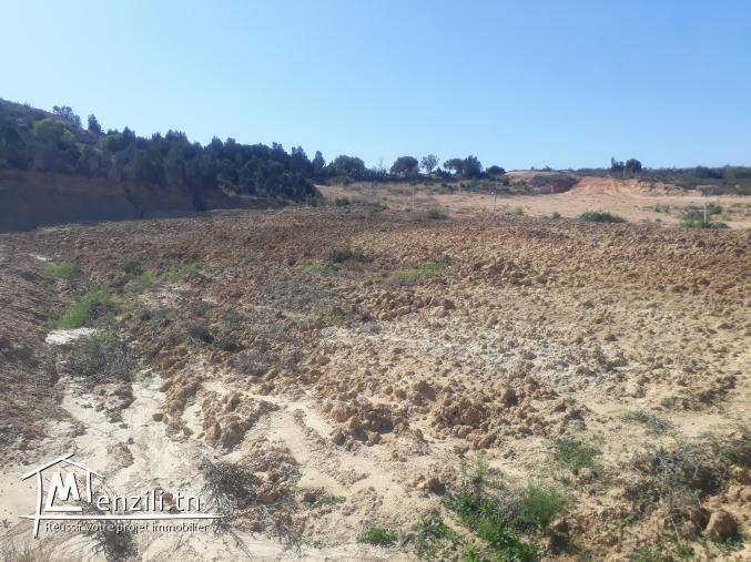 à vendre Un lot de terrain d'une superficie de 1800 m2