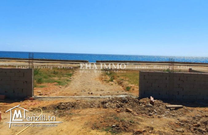 Terrain pieds dans l'eau à kerkouene