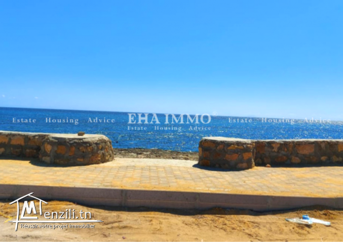 Terrain pieds dans l'eau à kerkouene