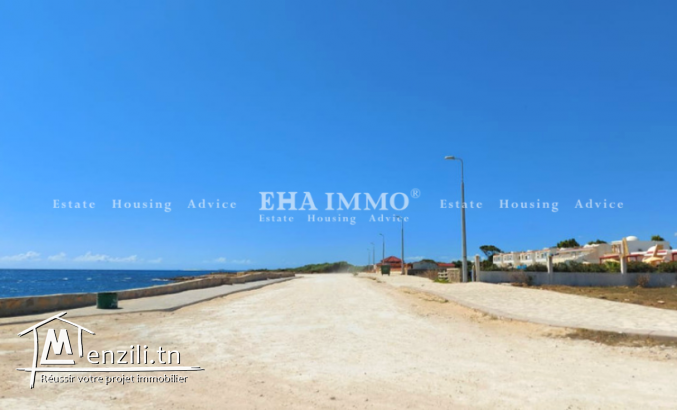 Terrain pieds dans l'eau à kerkouene