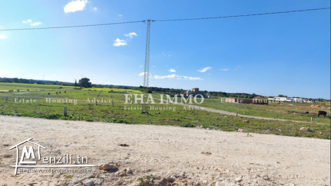 terrain à kerkouene
