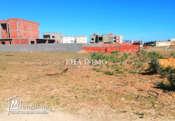 Terrain de 253 m2 à DAR ALLOUCHE