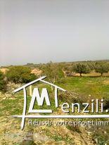 Deux Lots de terrain 170 m²/270 m²