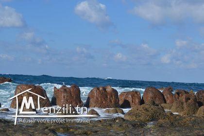 Terrain a vendre a El Argoub