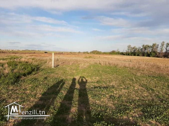 Occasion à ne pas rater - Terrain à Chotrana