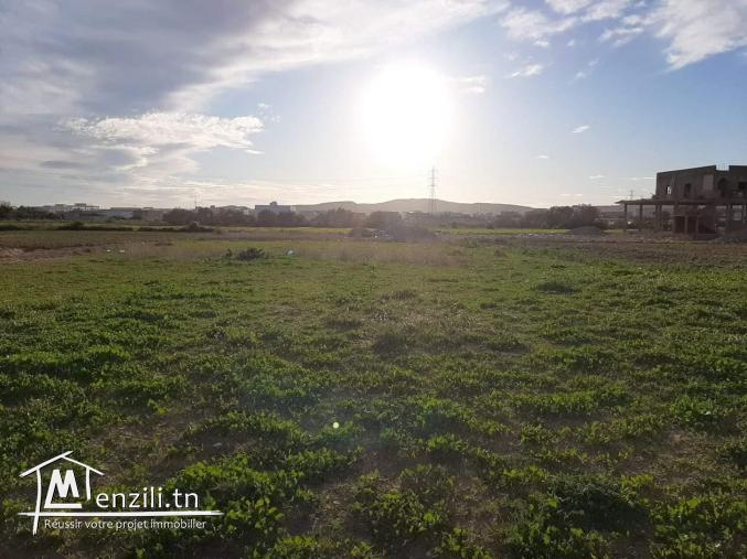 Occasion à ne pas rater - Terrain à Chotrana