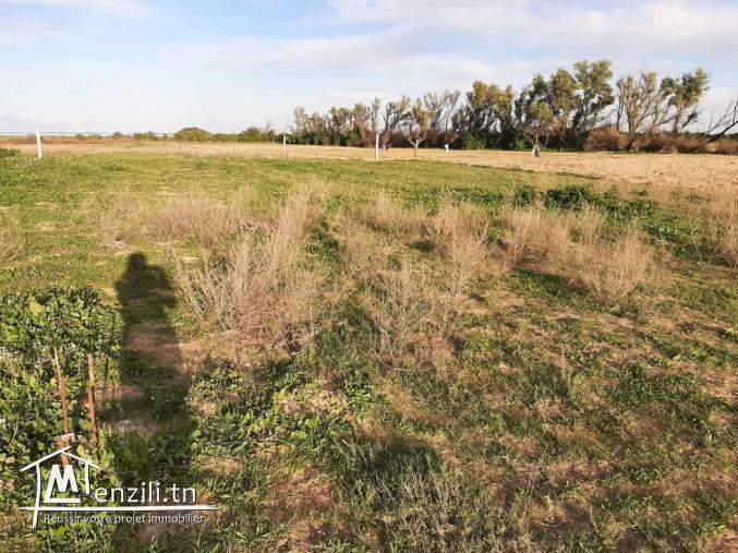 Occasion à ne pas rater - Terrain à Chotrana