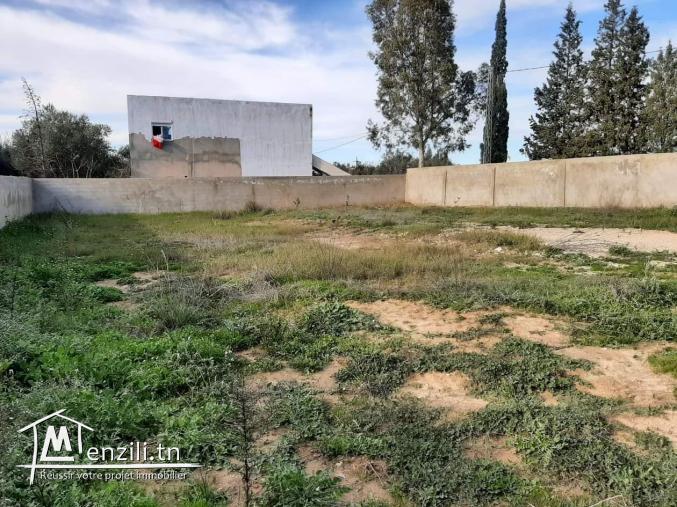 Très bonne opportunité à Mornag à ne pas rater.  