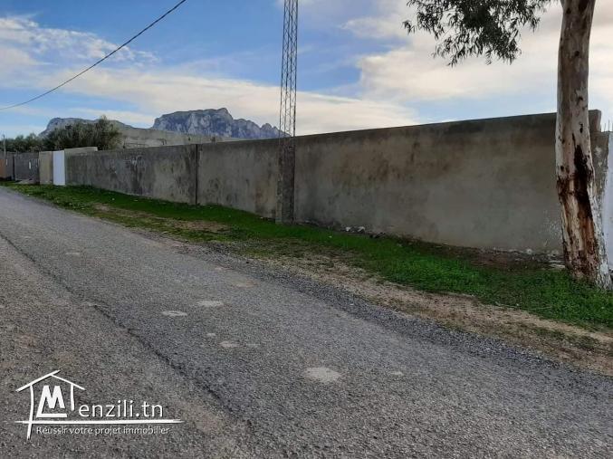 Très bonne opportunité à Mornag à ne pas rater.  