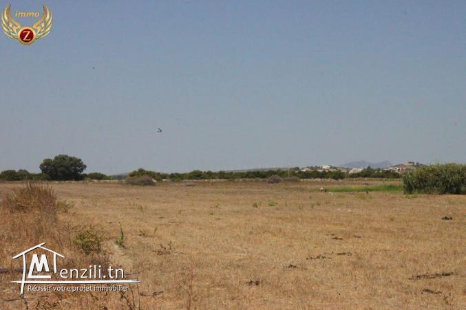 Terrain à Kélibia à 75MD