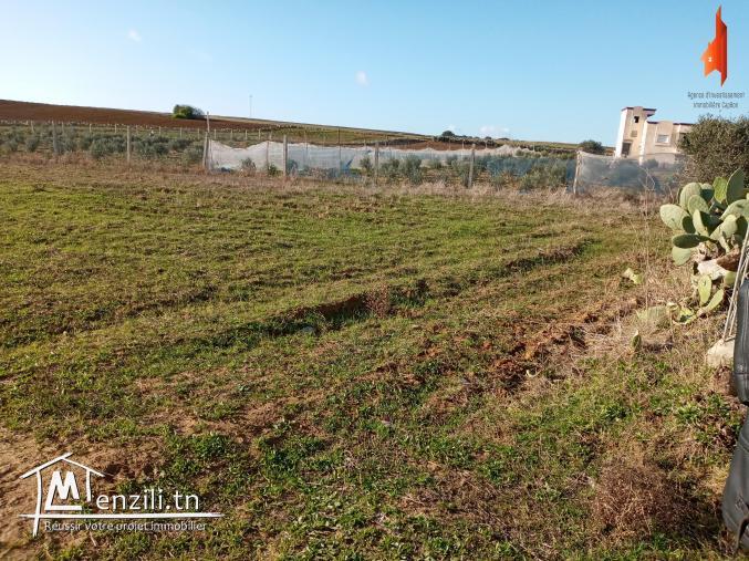 تحب يكون عندك دار   في وسط الطبيعة والمناظر الخلابة