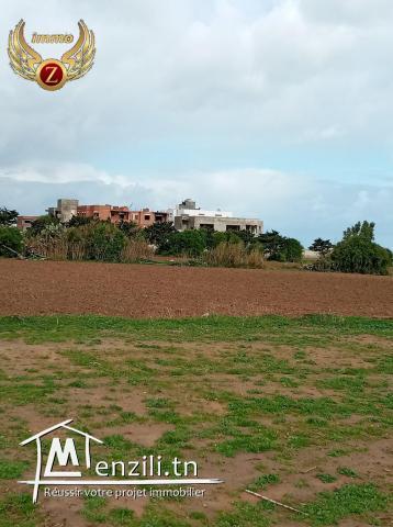 Terrain à 60m de la plage à Kélibia-Ezzahra