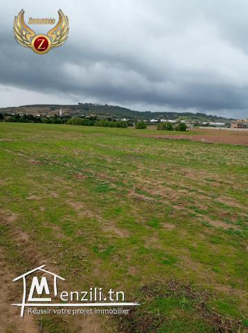 Terrain à 60m de la plage à Kélibia-Ezzahra