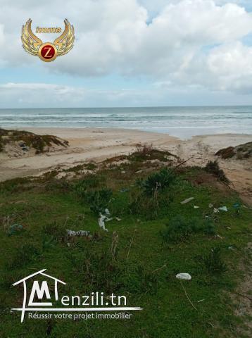 Terrain à 60m de la plage à Kélibia-Ezzahra
