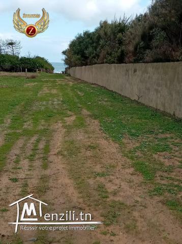 Terrain à 60m de la plage à Kélibia-Ezzahra