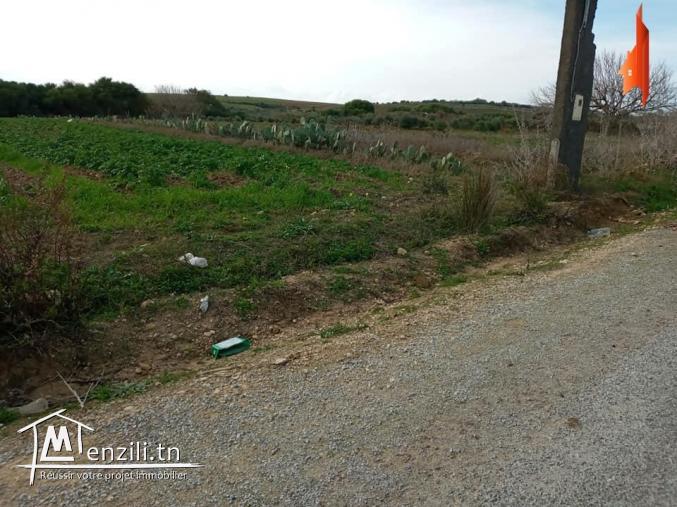 terrain à vendre situés à Tamozrat Kélibia