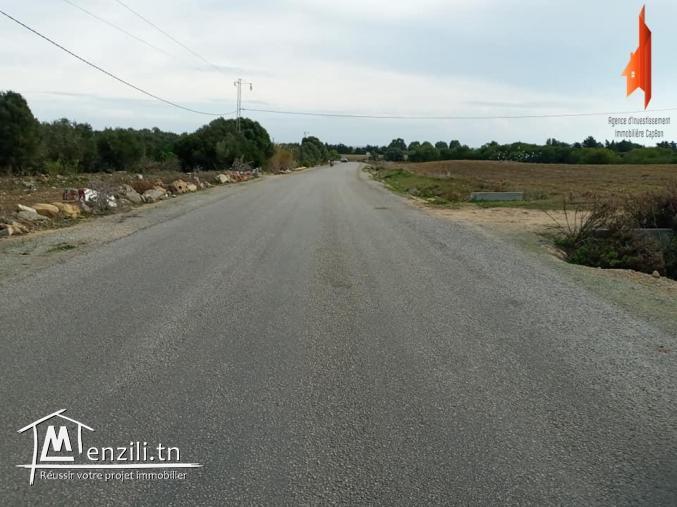 terrain à vendre situés à Tamozrat Kélibia