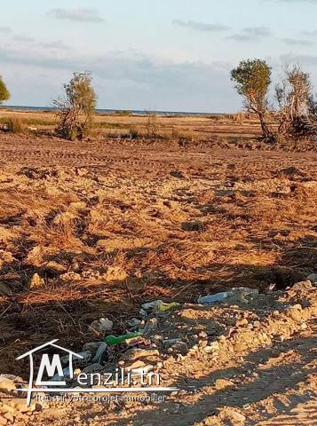 Lot à 150m de la plage de  Kélibia-sidi mansour