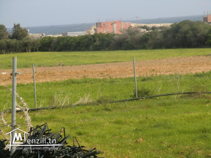 lottisement 500m a la plagz dar allouch