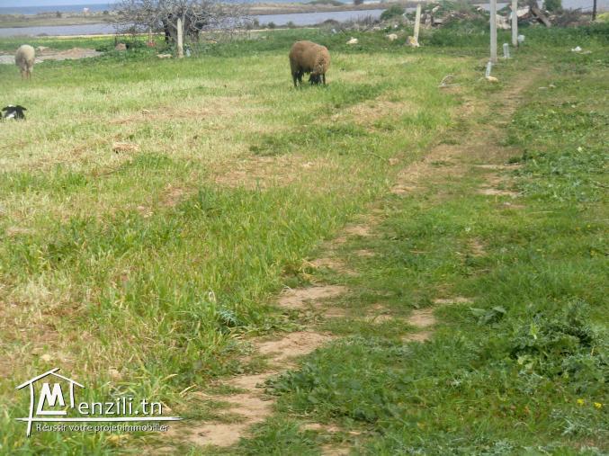 lottisement 500m a la plagz dar allouch