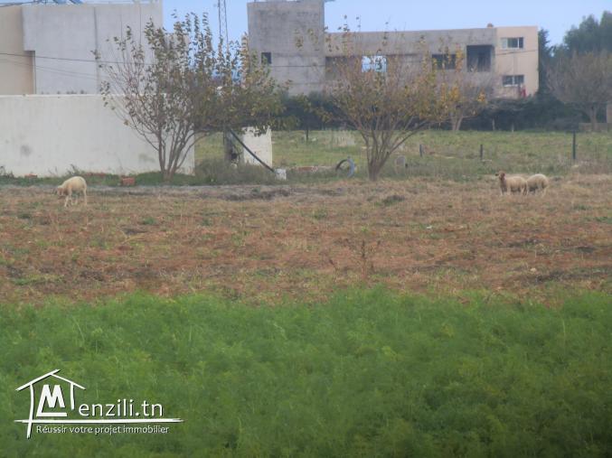 500m distance a la plage titre bleu indiviuelle
