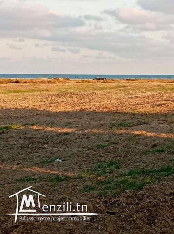 Lot à 150m de la plage de Kélibia-sidi mansour