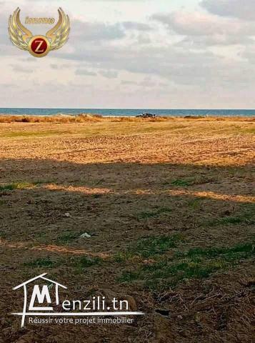 Lotissement à Kélibia-Beach.Appelez le: 90611201