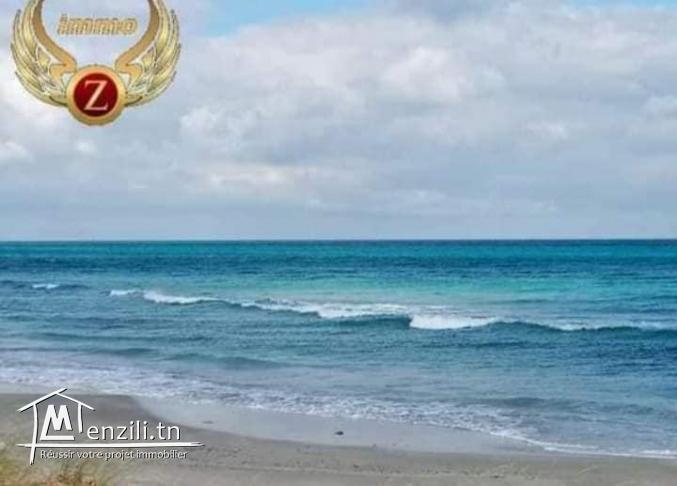 Lot 1ére position de la plage à Kélibia.Appelez: 90611201