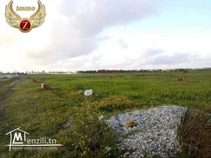 Lot 1ére position de la plage à Kélibia.Appelez: 90611201