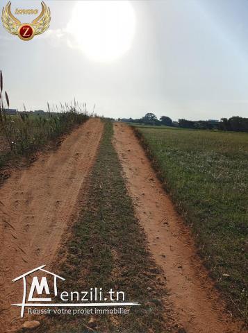 Terrain en 2éme position de la plage à Kélibia-Dar Allouch