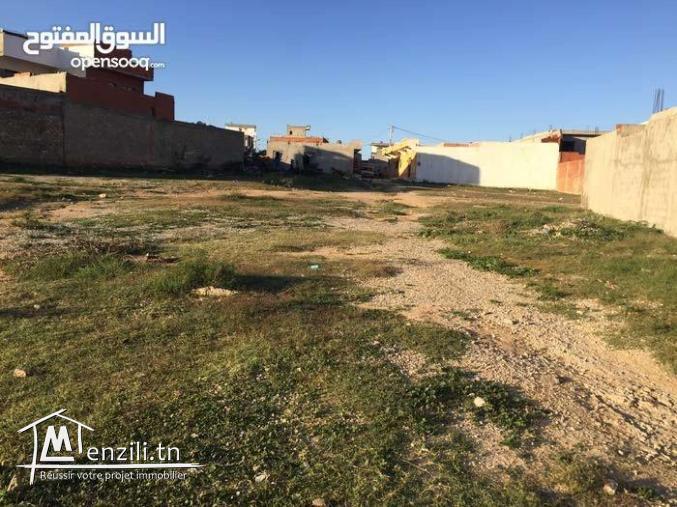 Un terrain à kalaa kebira (fedn3oun) , à 260 m